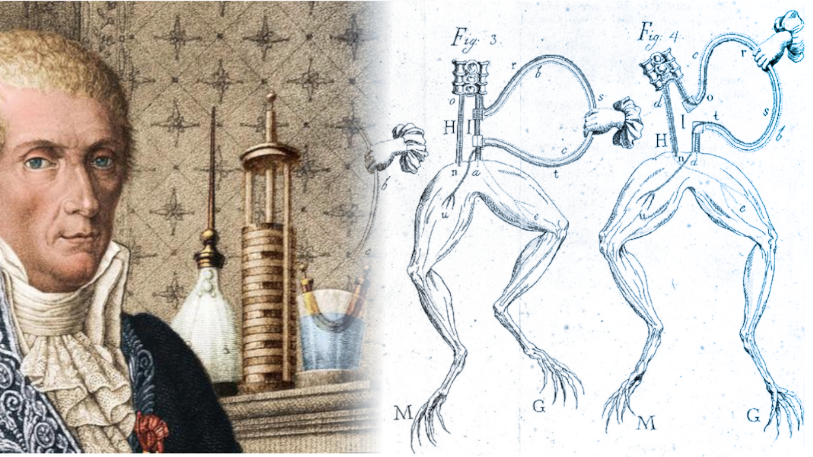 Il duello Galvani-Volta e la nascita della pila elettrica