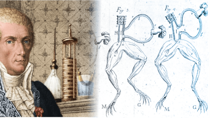 Il duello Galvani-Volta e la nascita della pila&nbsp;elettrica